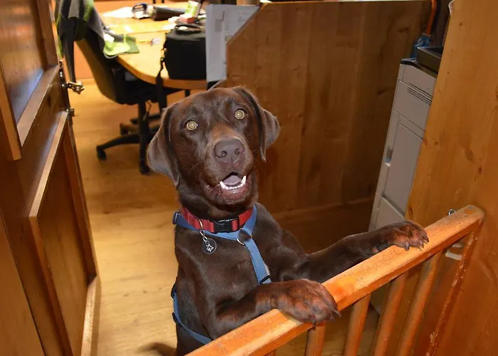 Tirolerhof פלאכאו